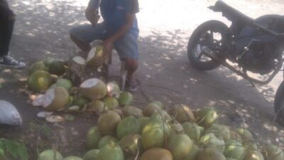 Kisah Pilu: Hanya Seorang Penjual Kelapa Muda, Pria ini Punya Satu Tekad Putri Semata Wayangnya Bisa Sarjana