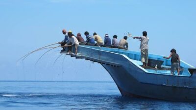 Sejumlah Nelayan Di Wini TTU Keluhkan Ada Banyak Aktivitas Nelayan dan Pengepul Ikan Tanpa Surat Izin