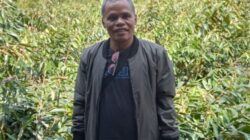 Inspirasi dari Maukaro: Kembangkan Bibit Tanaman, Pondok Bibit Abdi Alam Sang Mutiara Ende Raih Belasan Juta Setiap Bulan