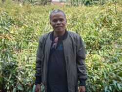 Inspirasi dari Maukaro: Kembangkan Bibit Tanaman, Pondok Bibit Abdi Alam Sang Mutiara Ende Raih Belasan Juta Setiap Bulan