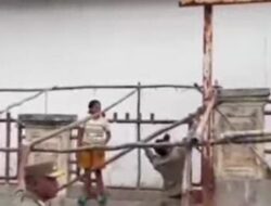 Penertiban Terhadap Pedagang Sayur dan Ikan Di Pasar Baru Kefamenanu Oleh Sat Pol PP TTU Dinilai Tidak Adil dan Tebang Pilih