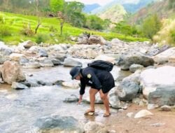 Diantara Alam Gunung Mutis dan Satu Nama Disana