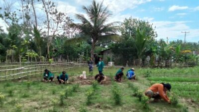 Gandeng Masyarakat Besikama, Mahasiswa PKM Unimor Lakukan Baksos