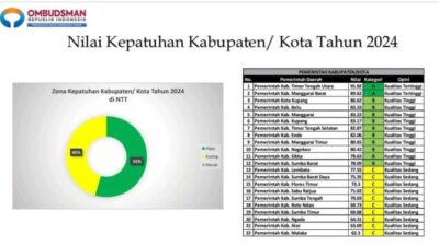 Foto: Nilai Kepatuhan Kabupaten/Kota Tahun 2024. (Jho Aban)