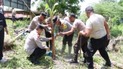 Foto: Kapolres TTU Bersama Jajarannya Sedang Melaksanakan Penanaman Pohon Pisang. (Jho Aban)