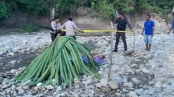 Terbakar Cemburu, Seorang Ayah di TTS Habisi Nyawa Dua Anak Kandung, Kerabat Sekarat